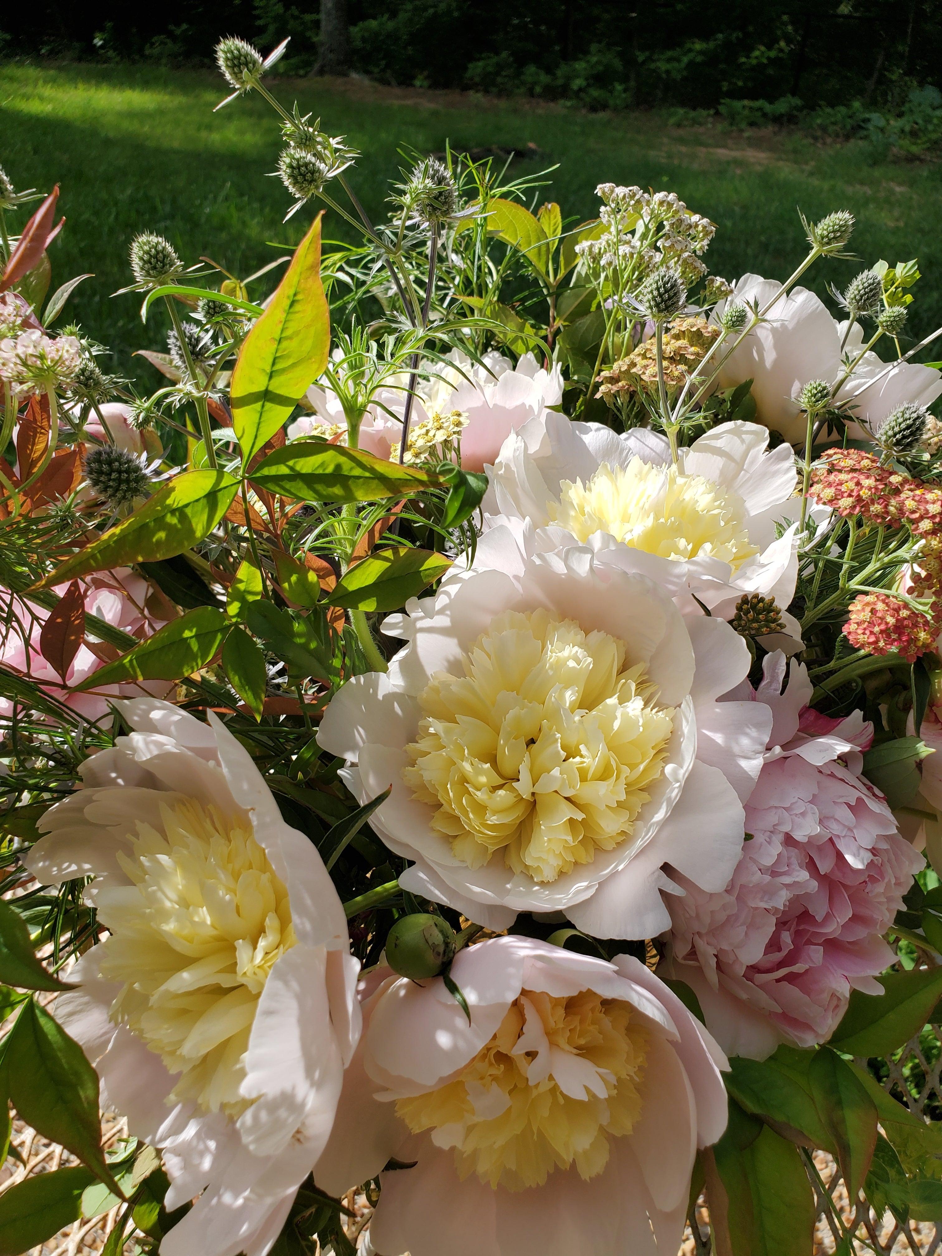 Peony