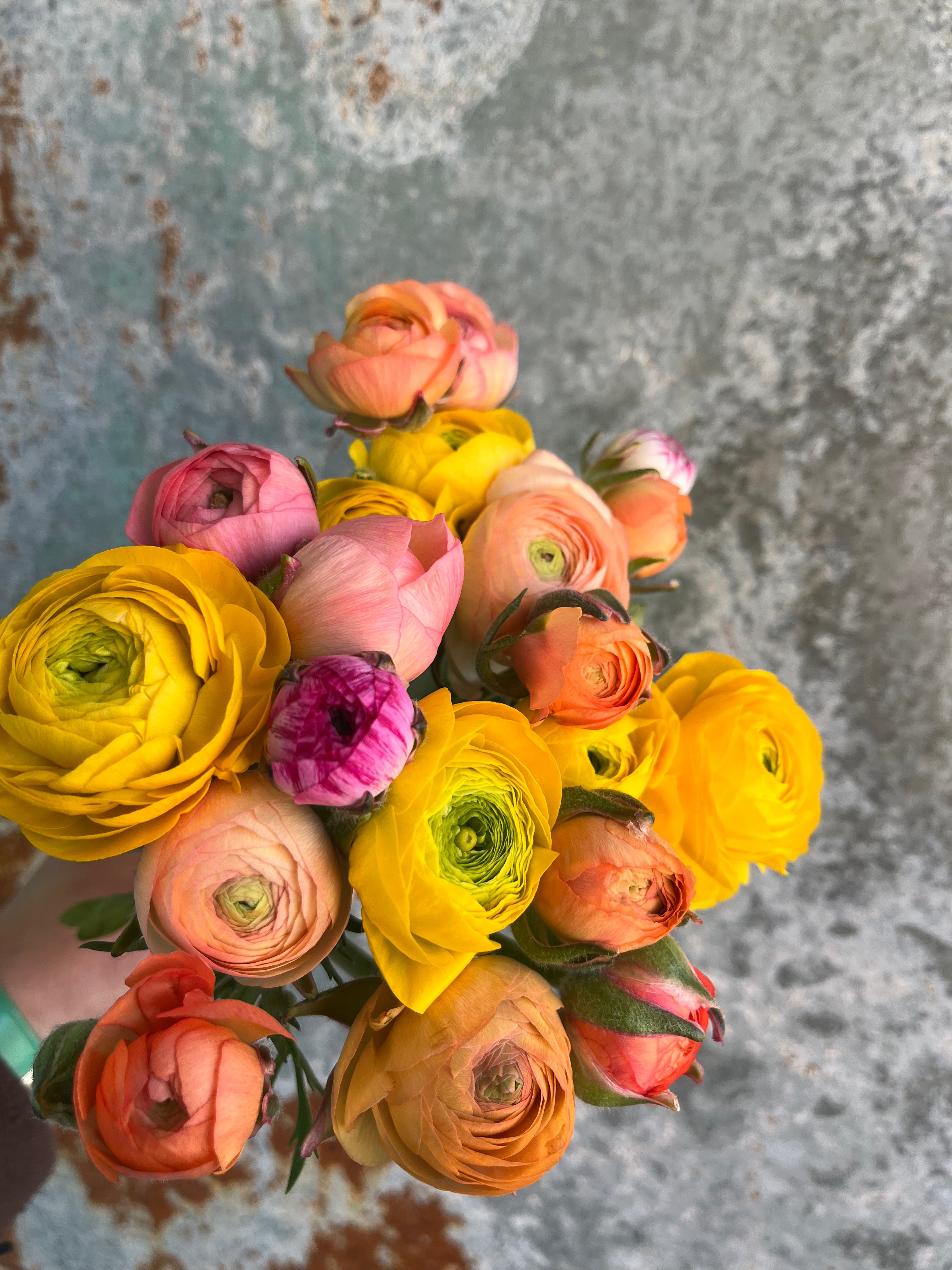 Ranunculus