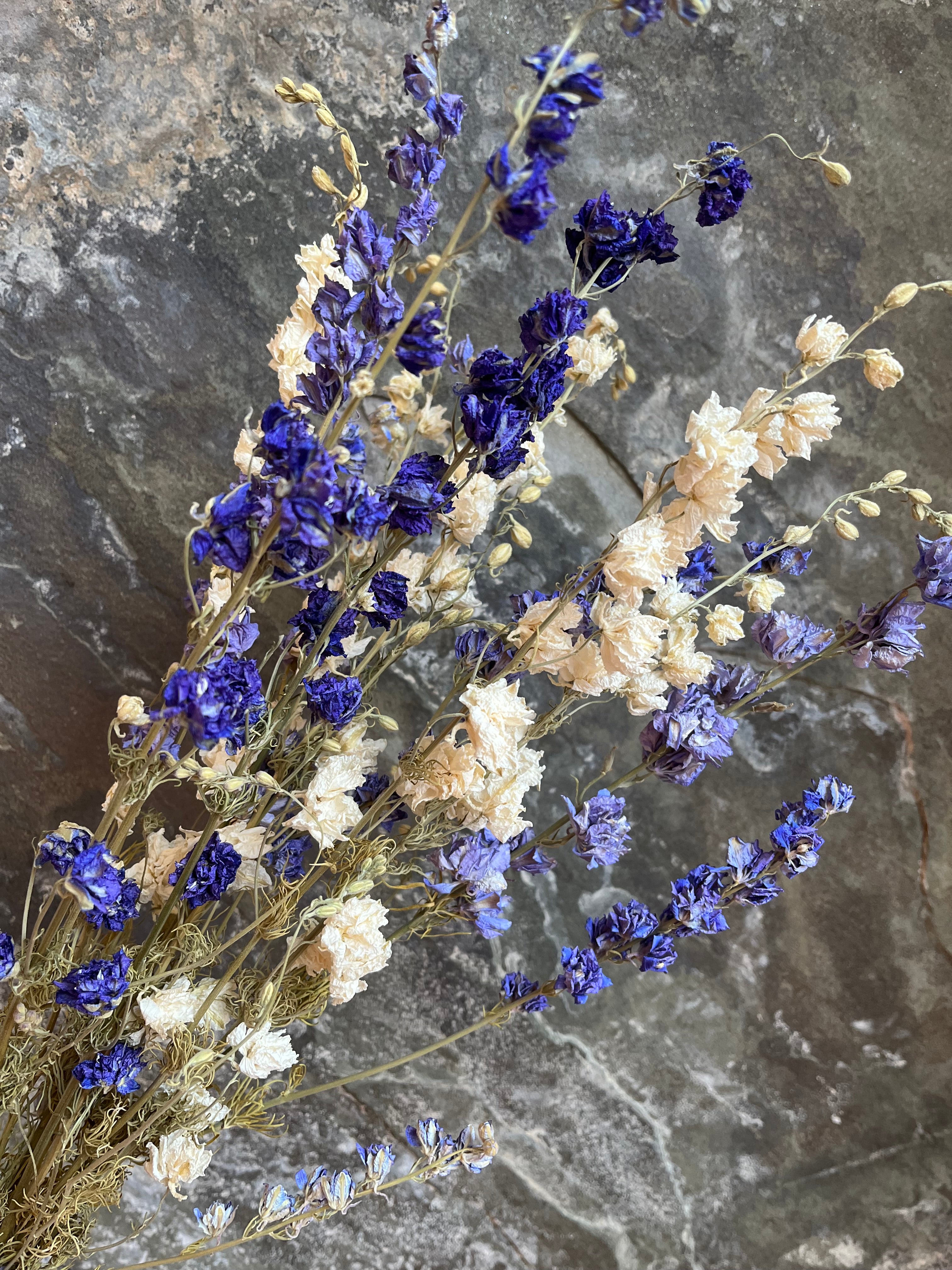 Larkspur- DRIED