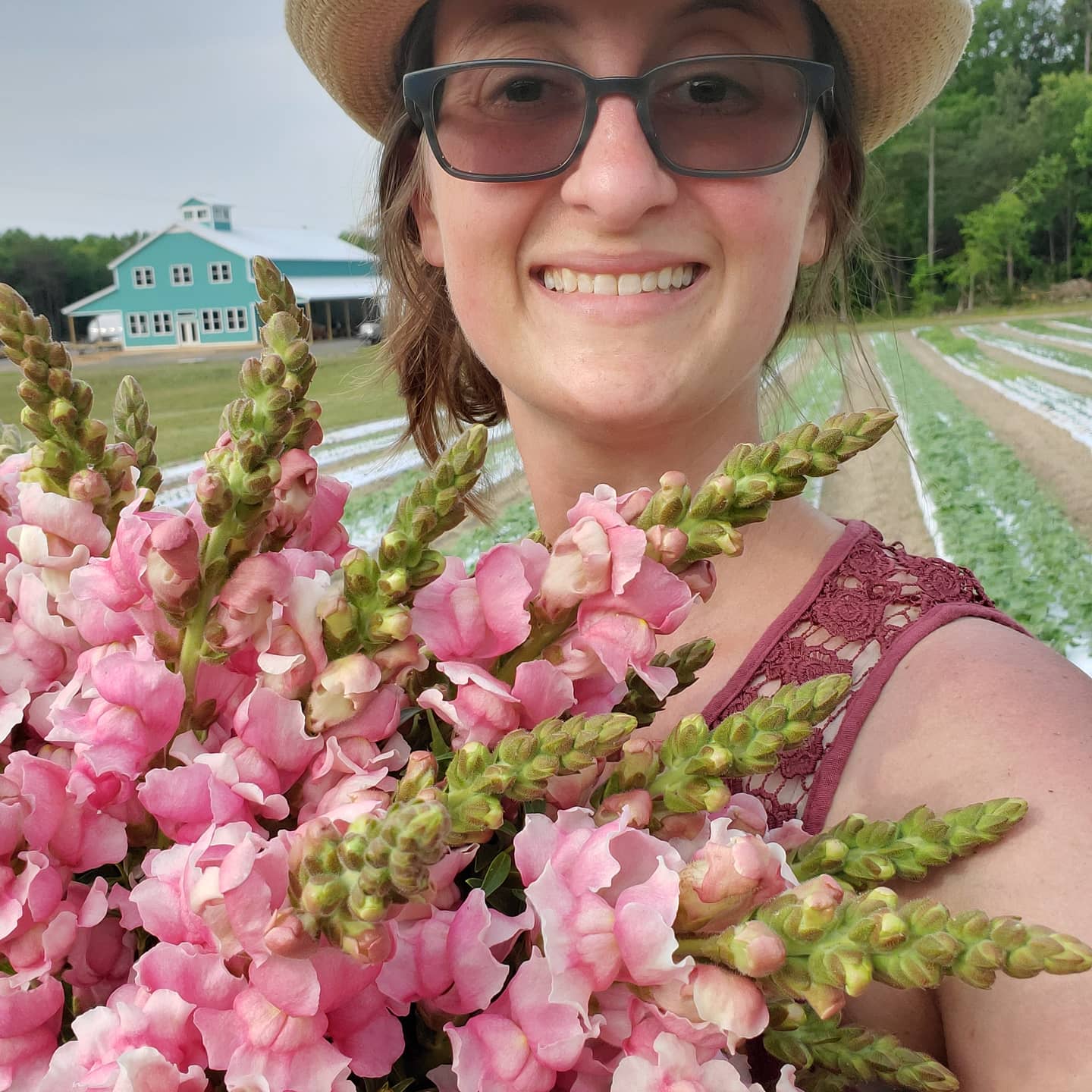 Snapdragon