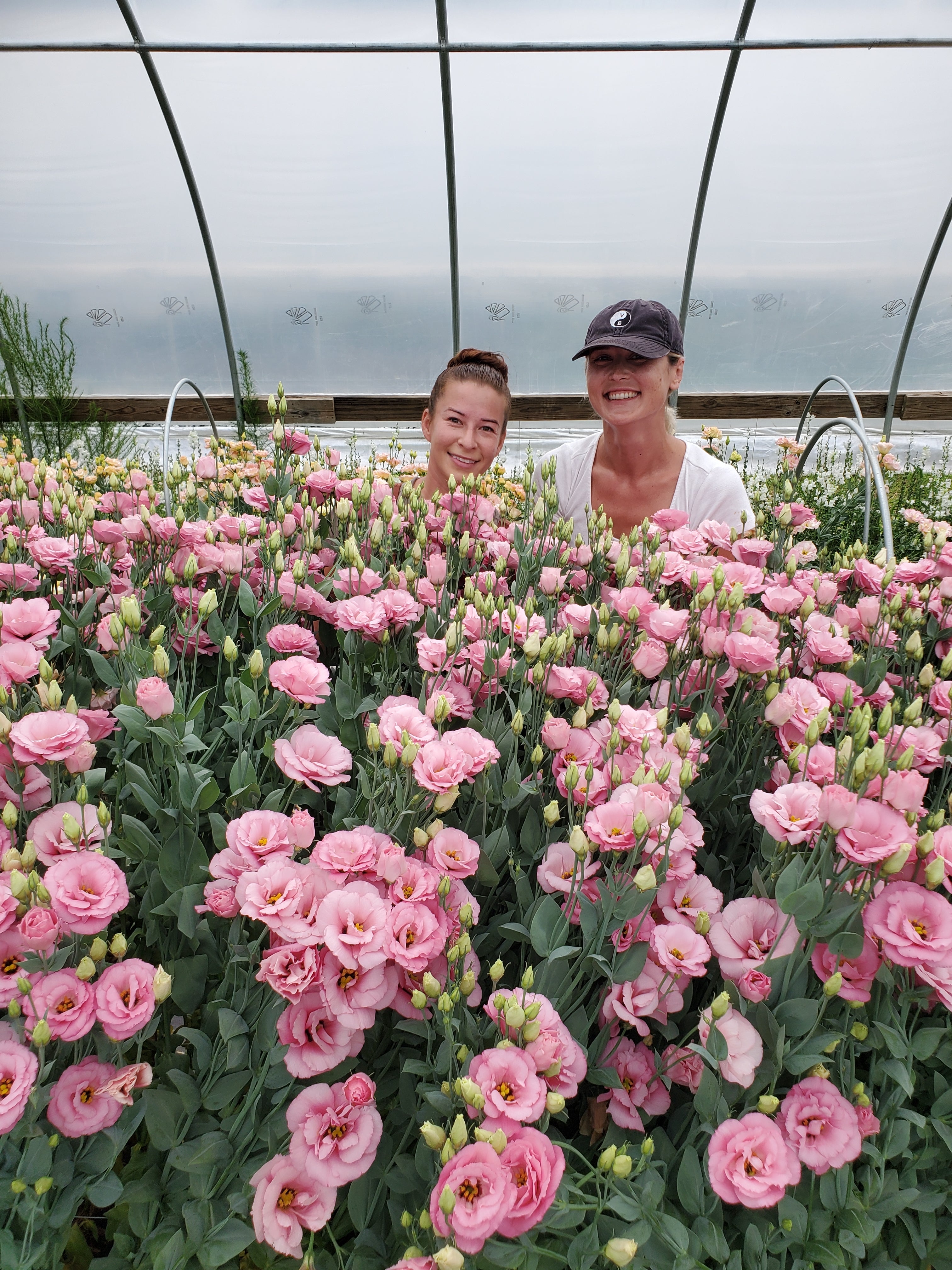 Lisianthus
