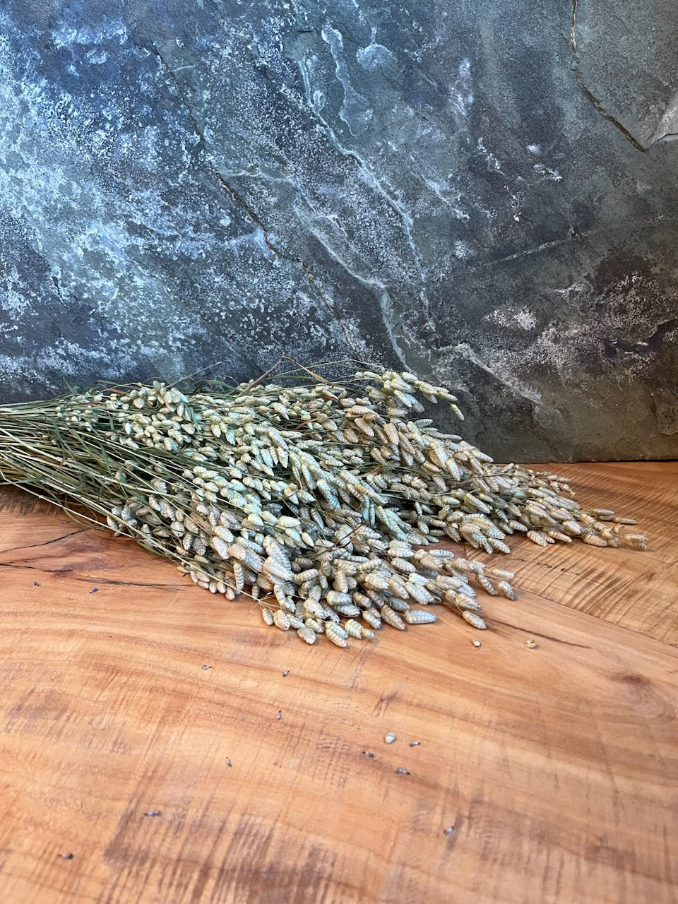 Quaking Grass- DRIED