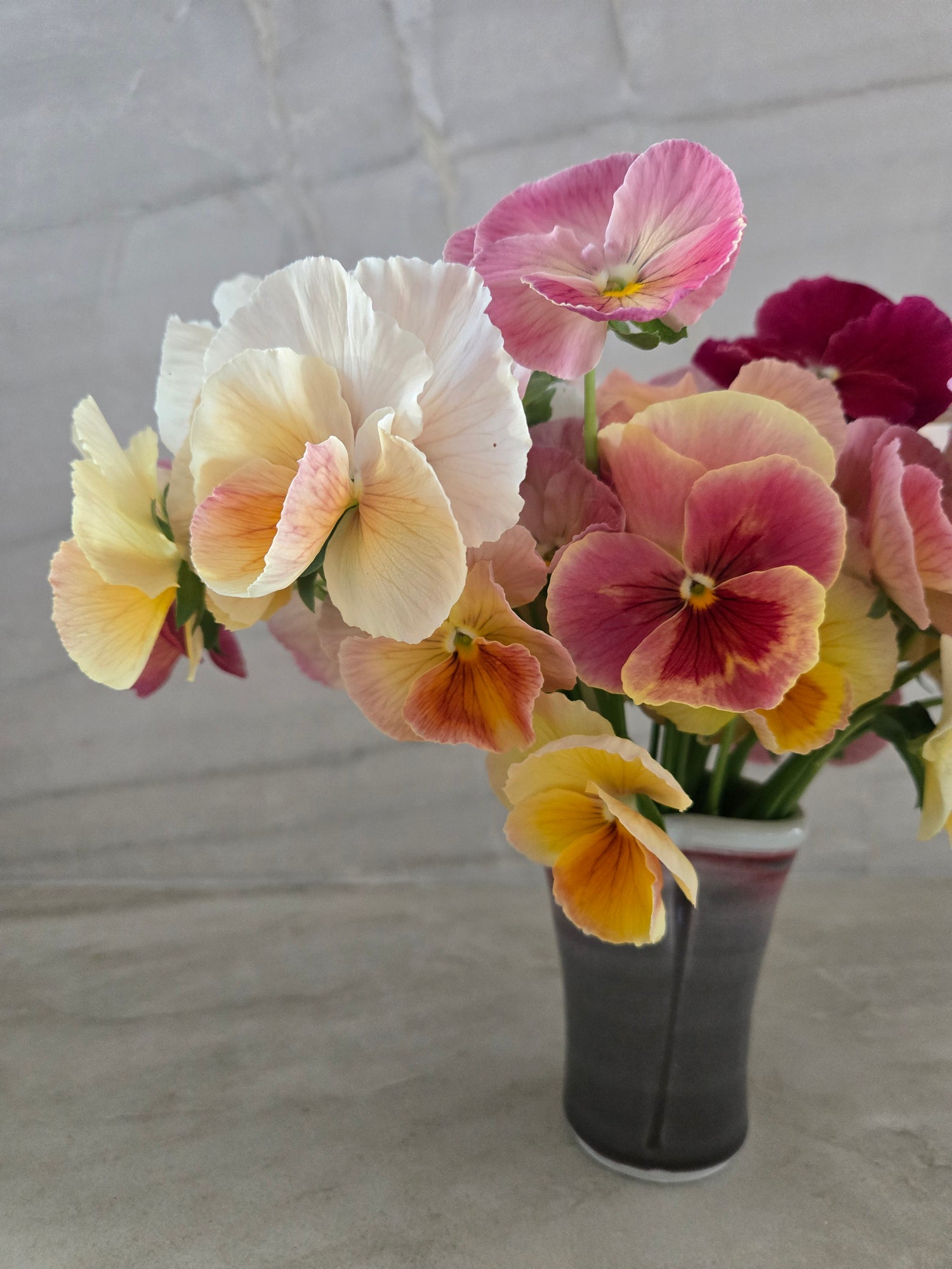 Pansy- Mix Imperial Antique &amp; Sweet Pea Mix- Cutting Pansies