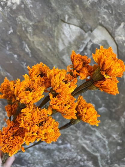 Marigold- DRIED