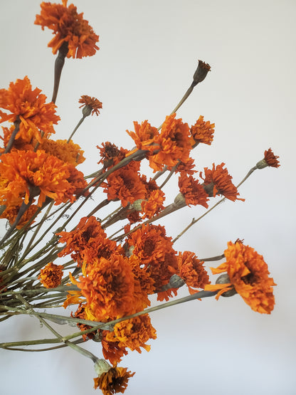 Marigold- DRIED