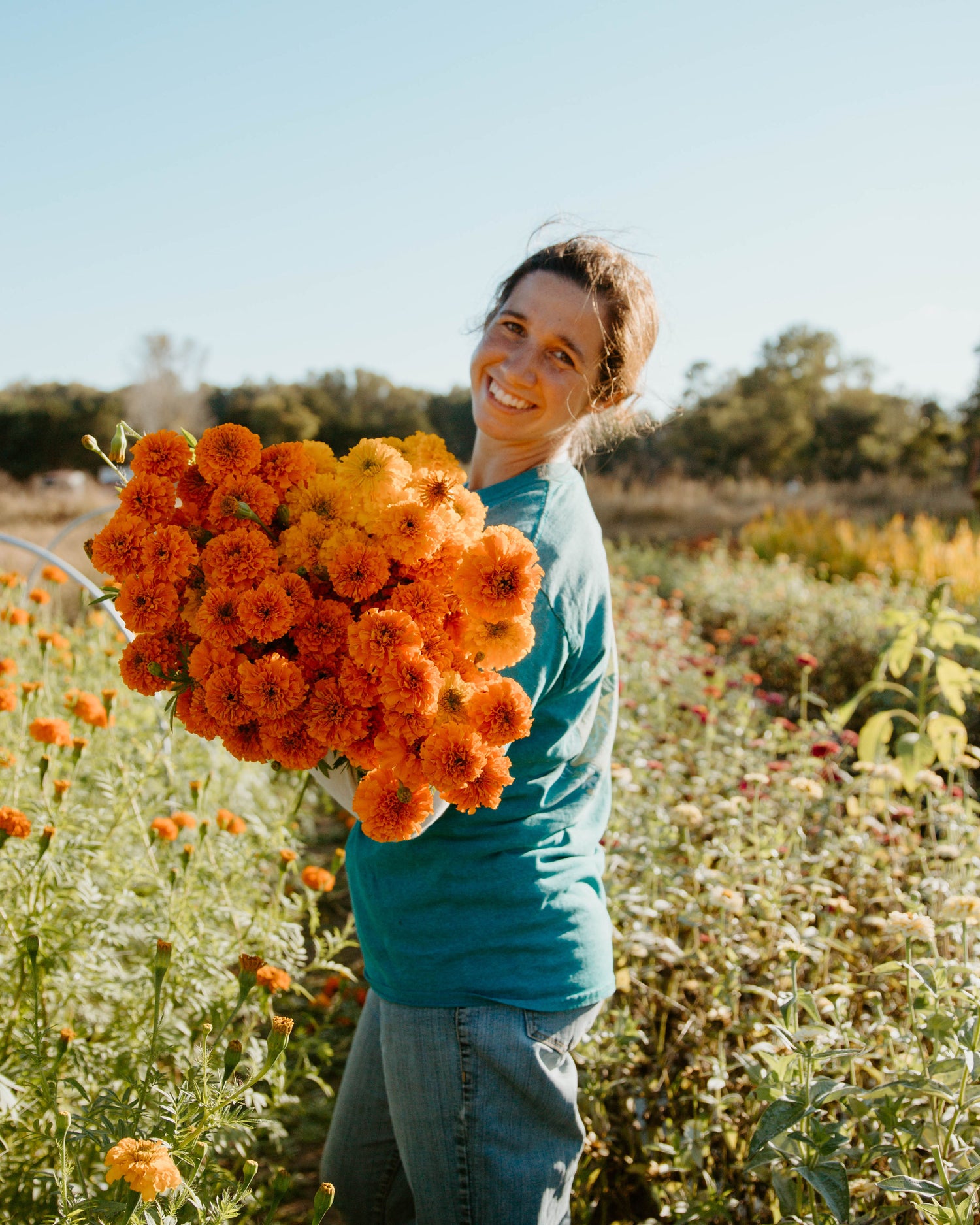 Marigold : Orange